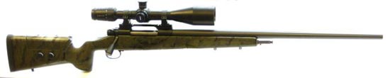 Styria Arms CSR 99
