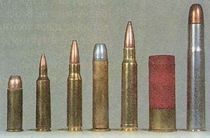 Входе испытаний использовались боеприпасы (слева направо): .44 Magnum, .22-250, .308, .45-70, .338, круглые пули 12 калибра и .470 Nirtro Express. Хотя некоторые пули и превосходили другие, ни на одну из них нельзя было положиться, когда они попадали в ветку.