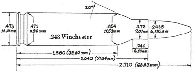 6х51 (.243 Winchester)