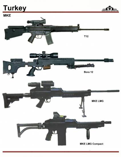 Турция: MKE T-12 Sniper Rifle, MKE Bora 12, ...