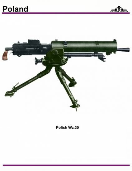 Польша: Polish Wz. 30