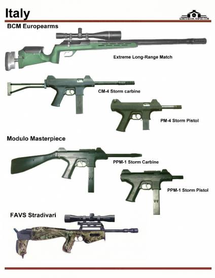 Италия: BCM Europearms Extreme Long-Range Match...