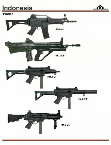 Индонезия: Pindad SS2-V5, SS-2000, PM-2 V1, ...