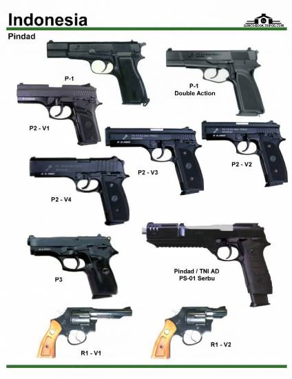 Индонезия: Pindad P-1, P-2, P-3, TNI AD PS-01 ...