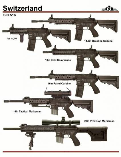 Швейцария: SIG 516 Series