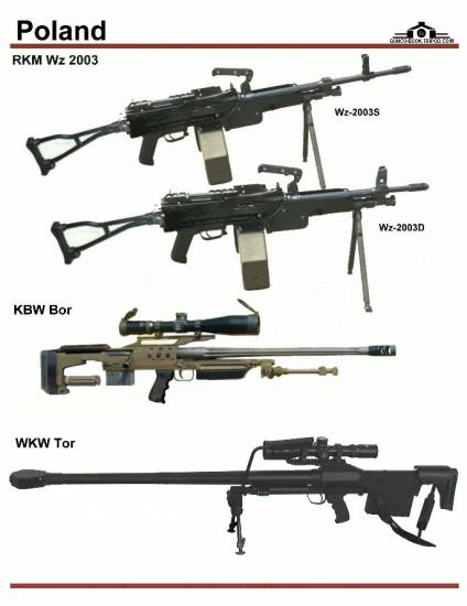 Польша: RKM Wz 2003, KBW Bor, WKW Tor