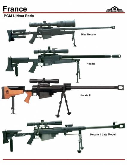 Франция: PGM Ultima Ratio Hecate, Hecate II