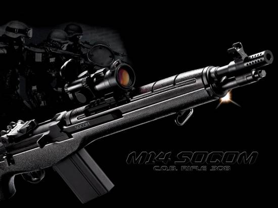 M14 SOCOM