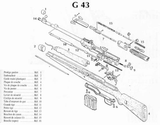 G 43