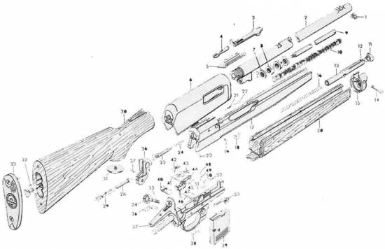 Winchester 1905