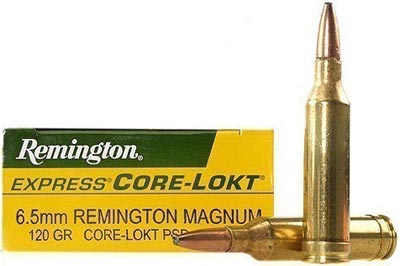 6.5 mm Remington Magnum
