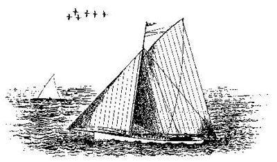 В XVIII–XIX веках крупнокалиберные ружья, промежуточные между свифелем и пантганом, использовали в китобойном промысле 