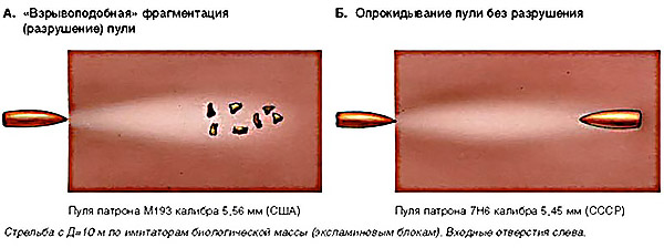 Рис.1. Рисунки с импульсной рентгенограммы