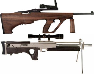 Ложи для малокалиберной винтовки Ruger 10/22, выпускаемые в США фирмой Ironwood Design, очевидным образом подражают более известным прототипам