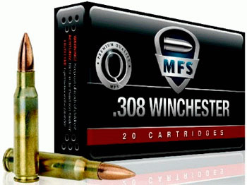 .308 Winchester