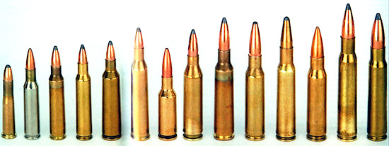 Альтернативы: для проводимых спортивных соревнований по стрельбе на 100 м находят применение патроны, начиная от .22 Hornet, применяемого в запрещенное для охоты время для тренировки, вместо проверенных временем штатных боевых патронов. Слева направо: .22 Hornet, .222 Remington, .223 Remington, .222 Remington Magnum, .22-250 Remington, .220 Swift, 6 mm PPC USA, .243 Winchester, 6,5x55 Schwedisch Mauser, 7mm-08 Remington, 7x57, .308 Winchester, .30-06 Springfield и 8x57IS. 