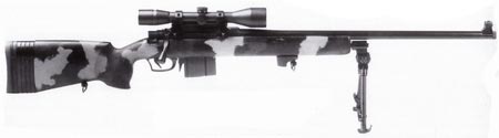 Parker-Hale M85 армейский камуфлированный вариант