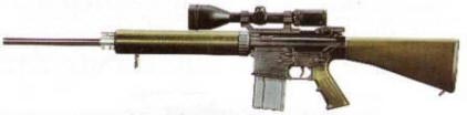 рис. 6. Спортивно-целевая винтовка AR-10(T)